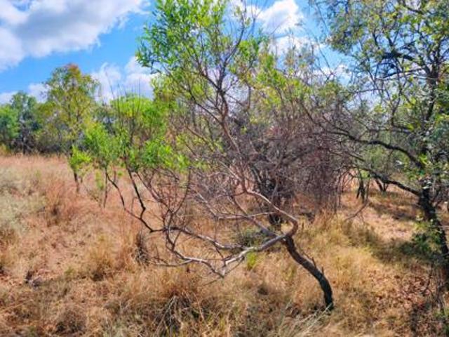 Property for sale in Limpopo