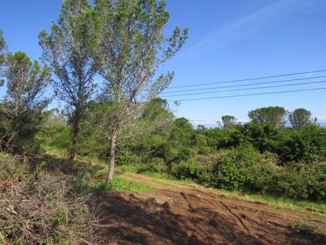 Property for sale in Bushmans River Mouth, Eastern Cape