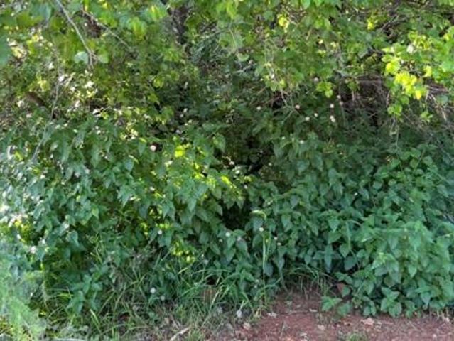 Property for sale in North West