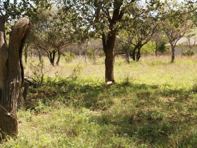 Property for sale in Limpopo