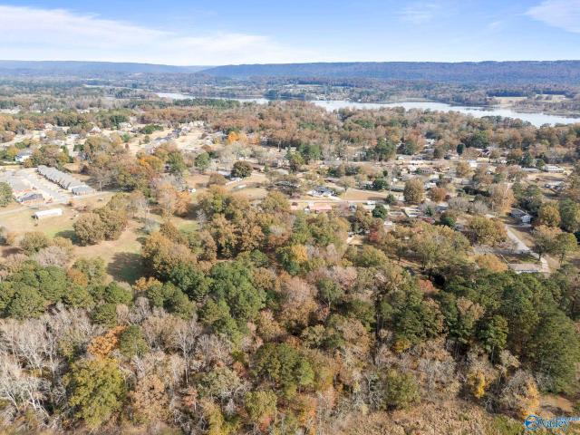 Land for sale in Scottsboro, Alabama