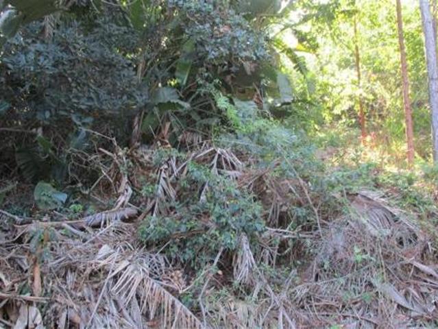 Property for sale in Ugu District Municipality, Kwazulu-natal