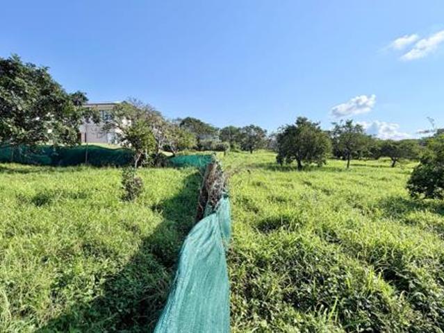 Property for sale