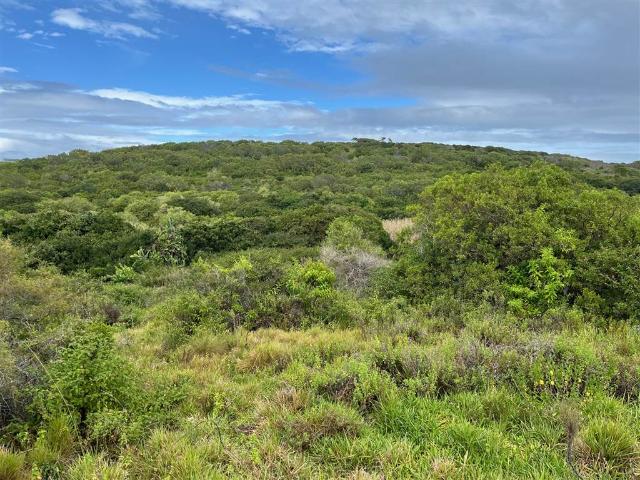 Property for sale in Bushmans River Mouth, Eastern Cape