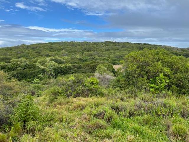 Property for sale in Bushmans River Mouth, Eastern Cape