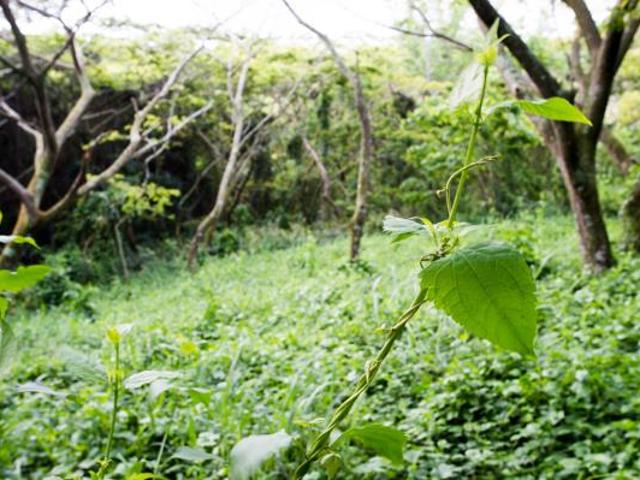 Property for sale in Princess Grant, Kwazulu-natal