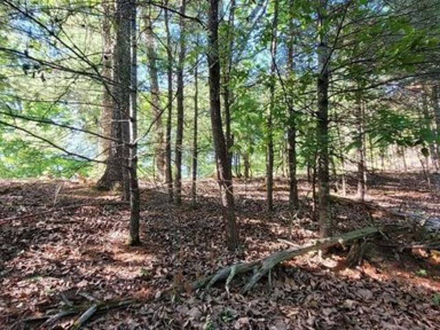 Land for sale in Tennessee