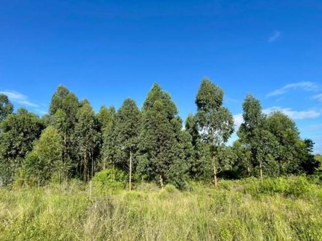 Property for sale in Princess Grant, Kwazulu-natal