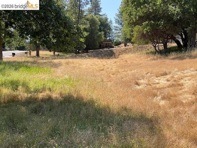 Land for sale in Groveland, California