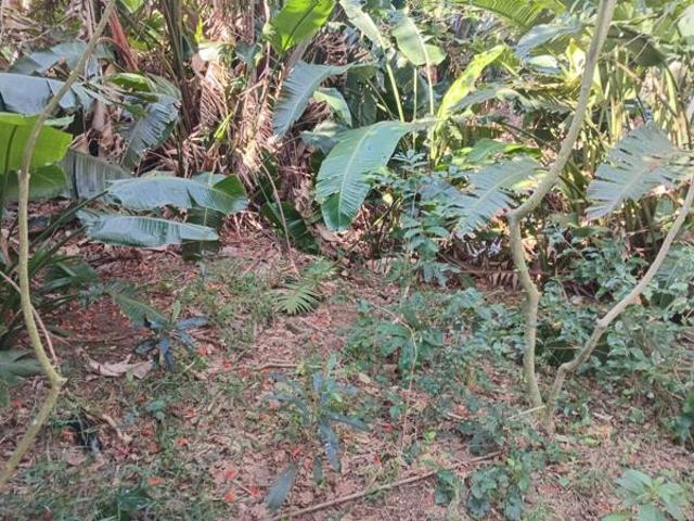 Property for sale in Ugu District Municipality, Kwazulu-natal