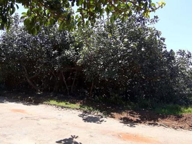 Property for sale in Ugu District Municipality, Kwazulu-natal