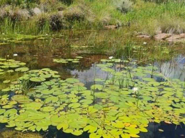 Property for sale in 57 Waterberg, Lephalale Local Municipality