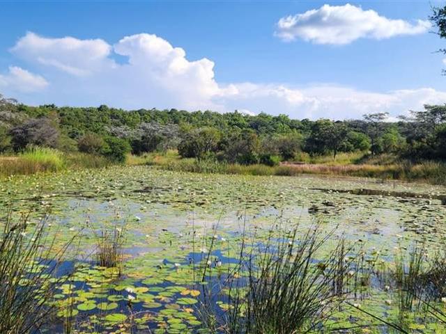 Property for sale in Limpopo