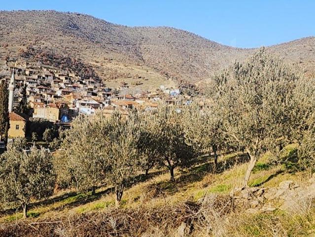 İğdecik, Salihli içerisinde satılık mülk