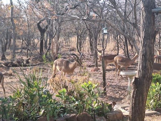 Property for sale in Limpopo