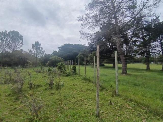 Property for sale in Bushmans River Mouth, Eastern Cape