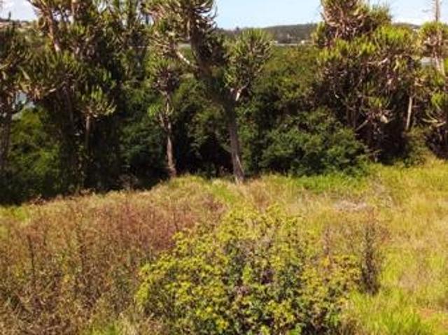 Property for sale in Bushmans River Mouth, Eastern Cape