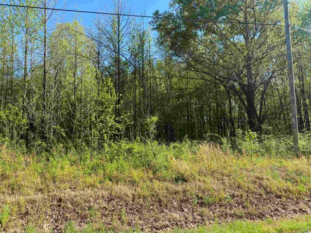 Land for sale in Tennessee
