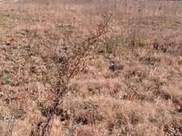 Property for sale in Gauteng