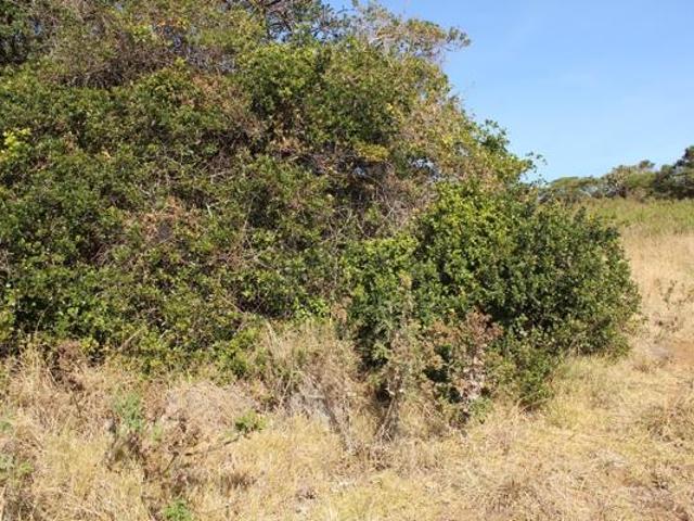 Property for sale in Bisho, Eastern Cape
