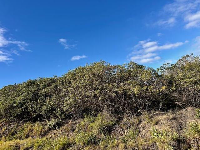 Property for sale in Bushmans River Mouth, Eastern Cape