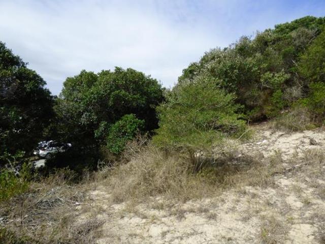 Property for sale in Bushmans River Mouth, Eastern Cape