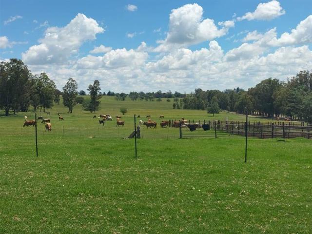 Farm for sale in Rosendal, Free State