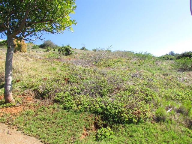 Property for sale in Bushmans River Mouth, Eastern Cape