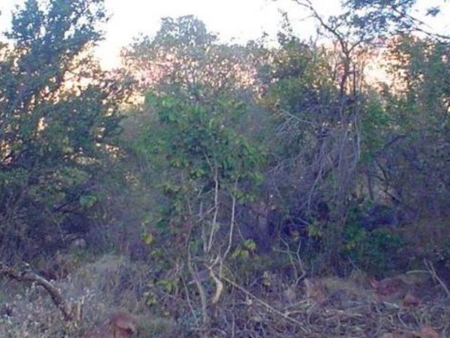 Property for sale in Limpopo