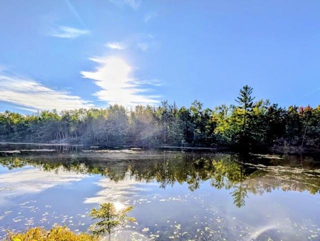 Land for sale in Park Falls, Wisconsin