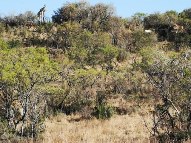 Property for sale in Dr Kenneth Kaunda, North West