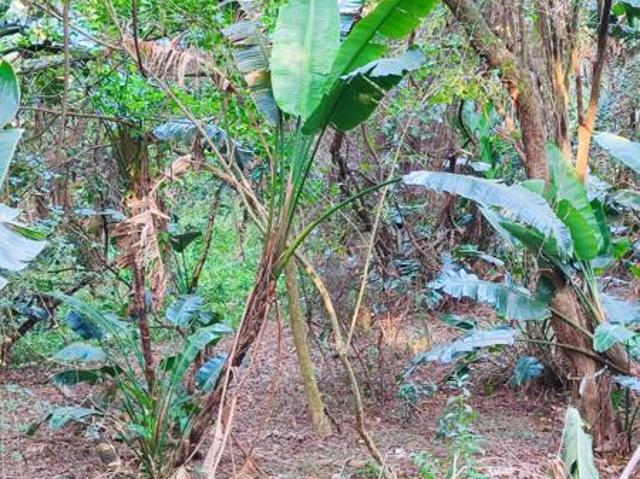 Property for sale in Ugu District Municipality, Kwazulu-natal
