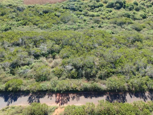 Property for sale in Bushmans River Mouth, Eastern Cape