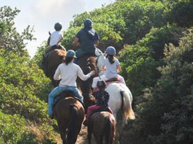Property for sale in Princess Grant, Kwazulu-natal