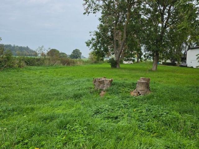 Landwirtschaft kaufen in Thesenvitz, Bergen auf Rügen