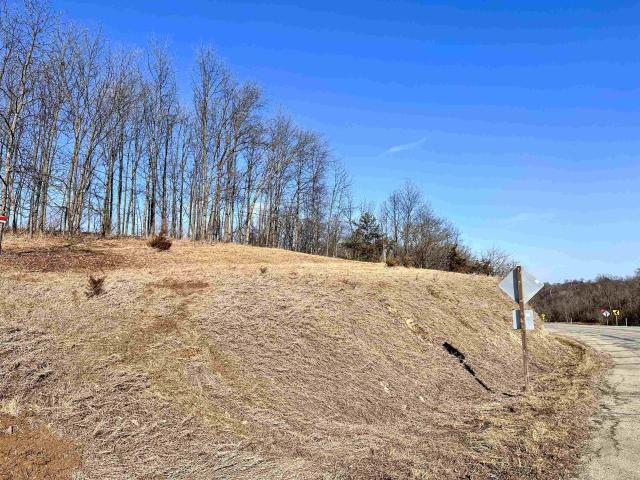 Land for sale in Mc Gregor, Iowa