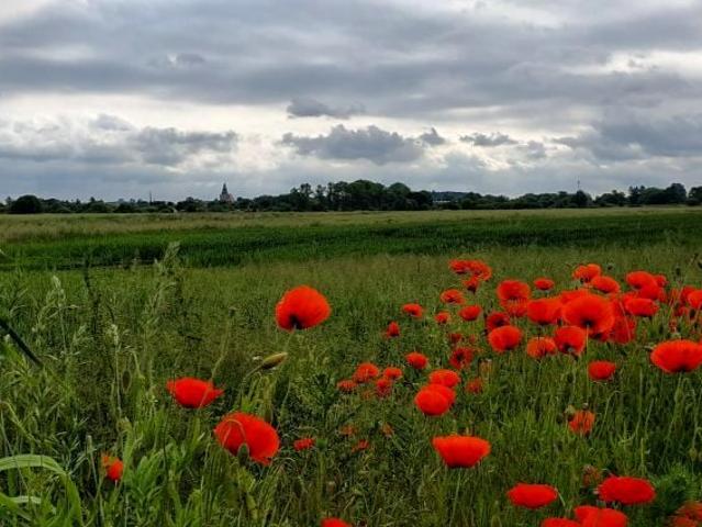 Grunt na sprzedaż w Trzebiatów, Zachodniopomorskie