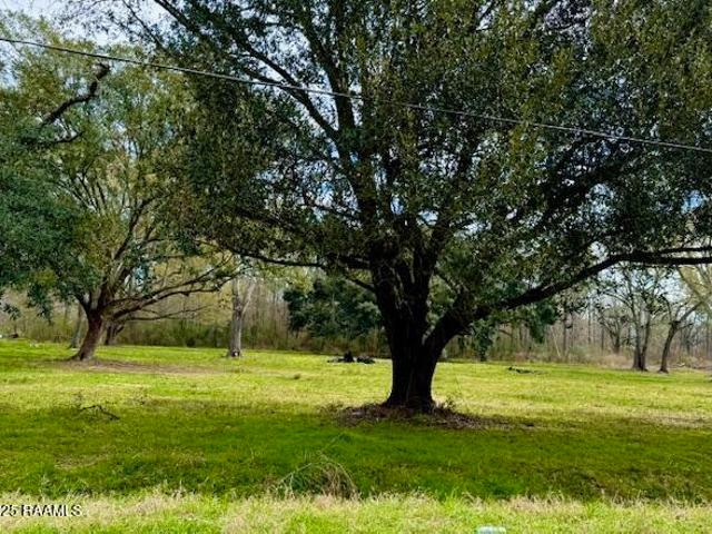 Land for sale in Iota, Louisiana