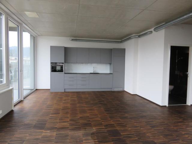 Apartment mieten in Adlikon, Regensdorf
