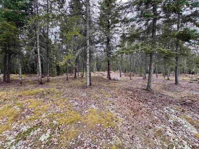 Land for sale in Red Lake, Northwestern Ontario