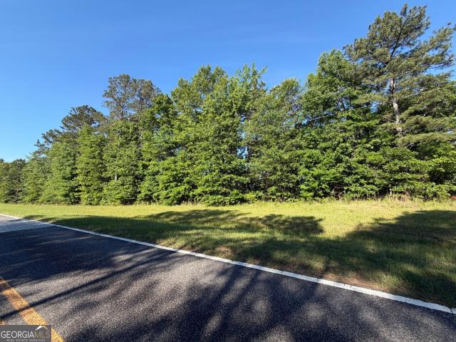 Land for sale in Roberta, Georgia