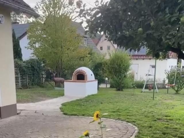 Villa kaufen in Rotenburg an der Fulda, Hessen