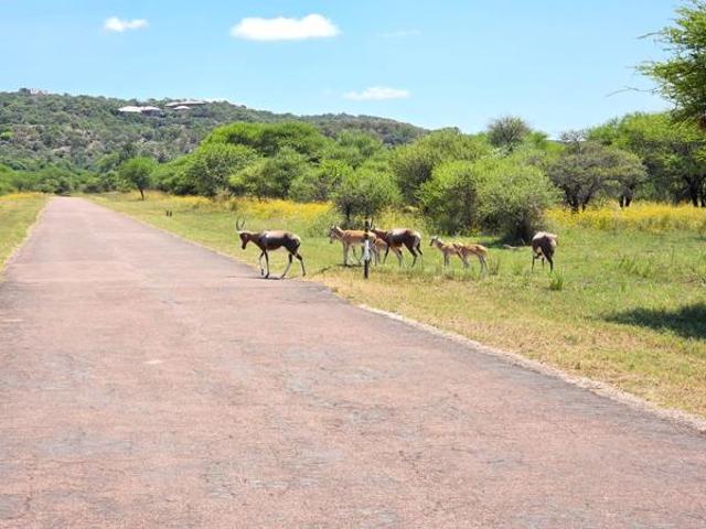 Land for sale in Limpopo