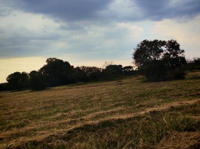 Land for sale in Seshego, Limpopo