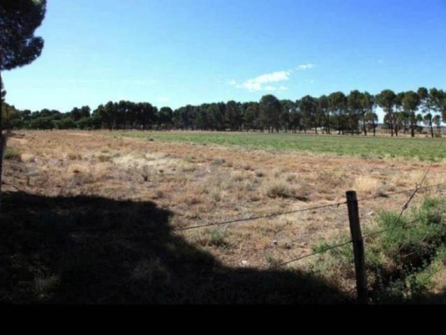 Land for sale in Victoria West, Northern Cape