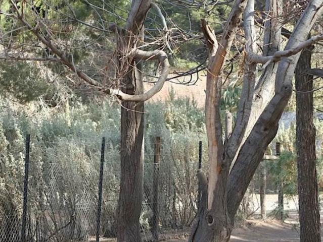 Land for sale in Victoria West, Northern Cape