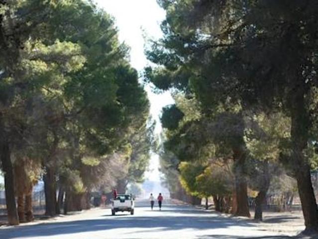 Land for sale in Victoria West, Northern Cape