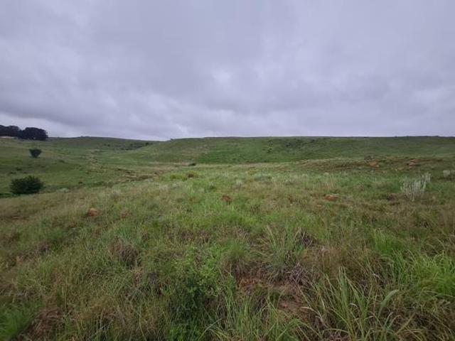 Land for sale in Machadodorp, Mpumalanga