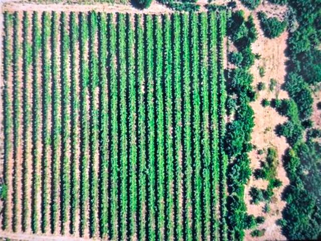 Land for sale in Kai Garib, Northern Cape