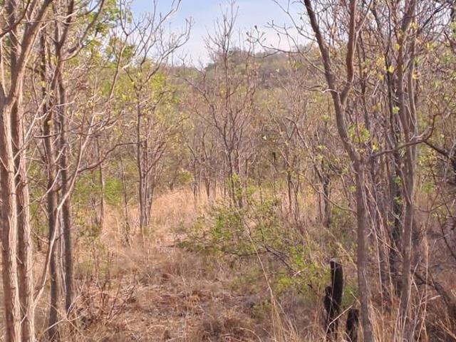 Land for sale in Limpopo